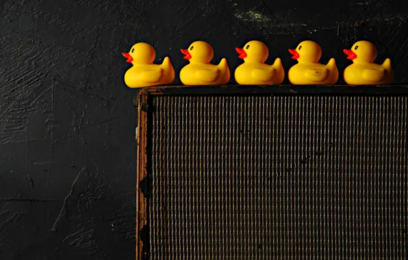 Picture background, toy, duck