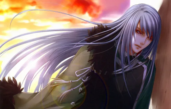 Picture sadness, the sky, sunset, red eyes, long hair, Cape, military uniform, visual novel