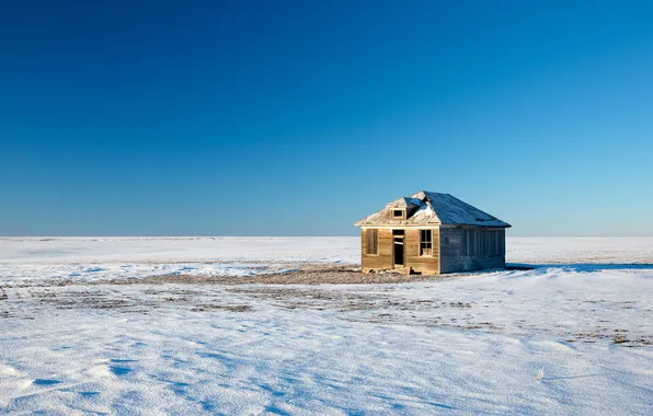 Picture winter, field, landscape, house