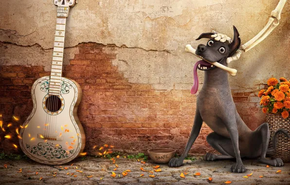 Happy, Mexico, dog, Coco, animated film, bones, animated movie