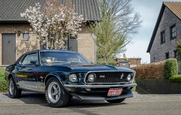 Picture Mustang, Ford, 1969, house