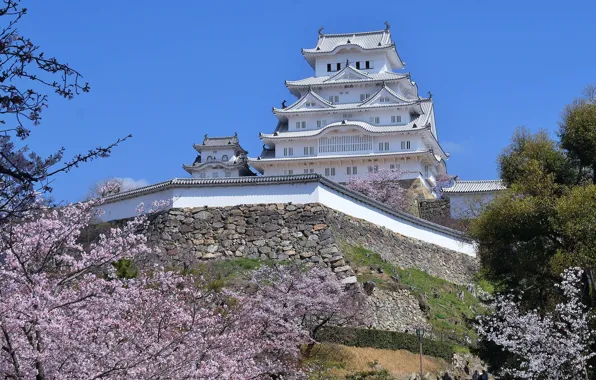 Castle, spring, Japan, Sakura, Himeji