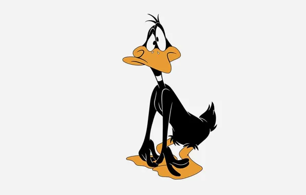 Picture duck, cartoons, Looney Tunes