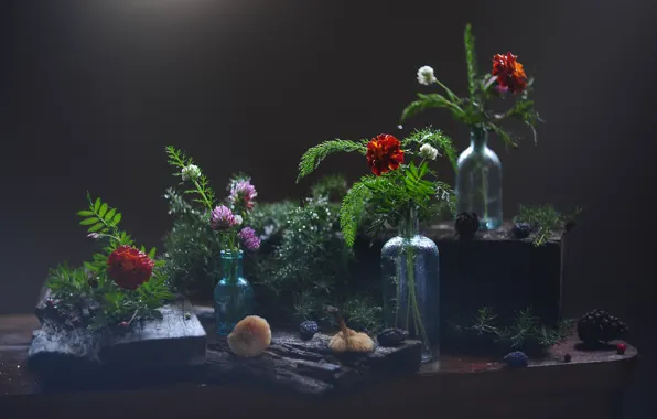 Greens, glass, drops, light, flowers, mushrooms, Board, red