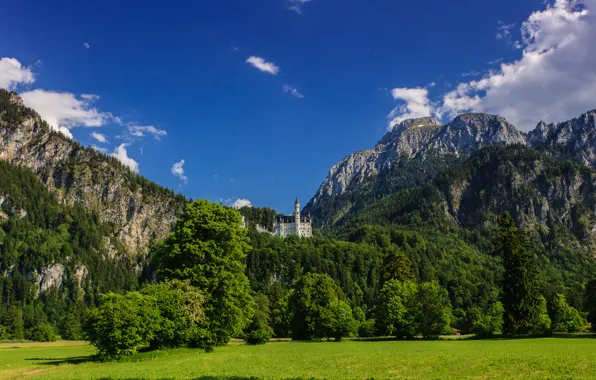 Picture trees, mountains, Germany, Bayern, meadow, Germany, Bavaria, Neuschwanstein Castle
