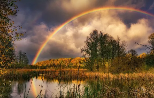 Autumn, Lake, Rainbow