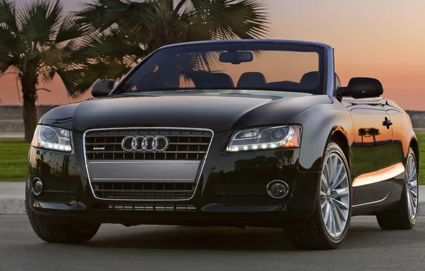 Picture sunset, palm trees, convertible, Audi a5