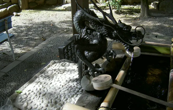 Picture dragon, Japan, well, Japan, Kyoto