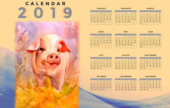 Picture pig, pig, calendar for 2019