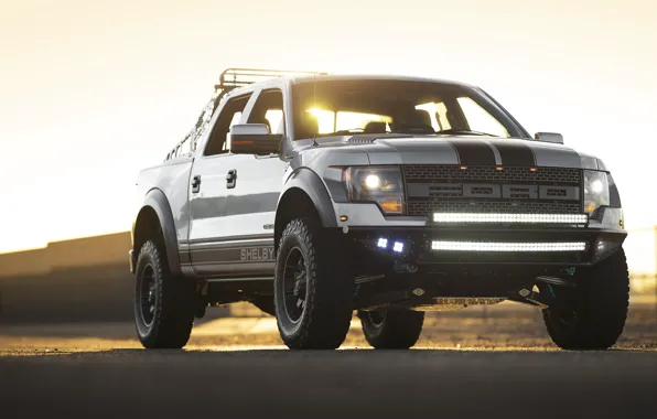 Shelby, Pickup, 2013, American Car, Ford F-150, Low 700