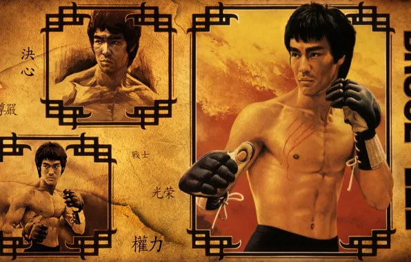 Picture Legend, Bruce Lee, Honnoror, jeet kune do