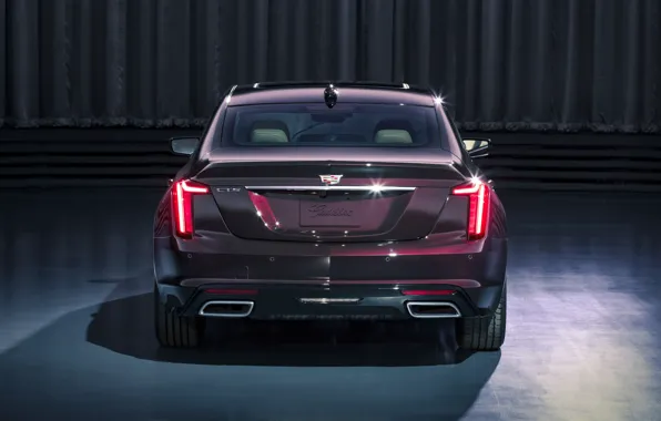Cadillac, rear view, 2020, Premium Luxury, CT5