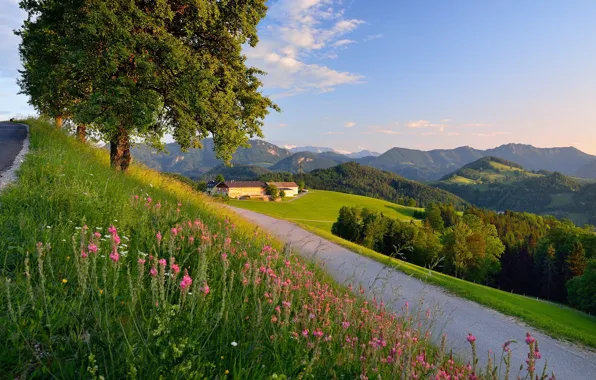 Road, landscape, mountains, nature, the city, home, Germany, Bayern