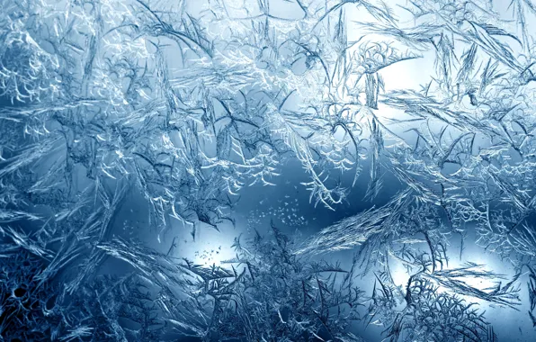 Ice, glass, pattern, figure, frost, ice, pattern, frost
