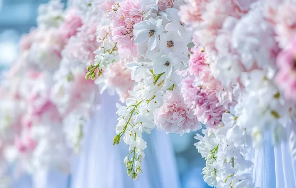 Flowers, branches, pink, white, light background, flowering, a lot, hanging