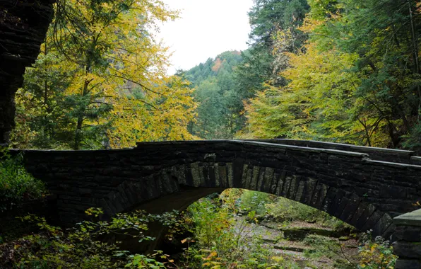 Picture Bridge, Autumn, USA, USA, Fall, Bridge, Autumn, Colors