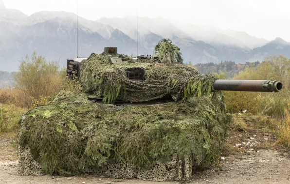Picture the barrel, tank, disguise, Leopard 2