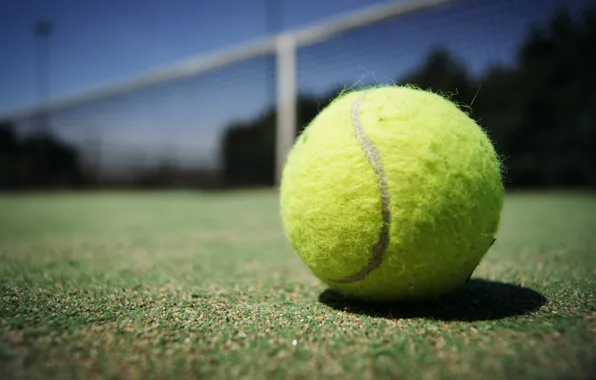 Macro, sport, the ball, court