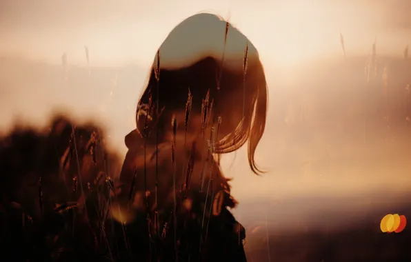 Summer, girl, glare, silhouette, curls, composition