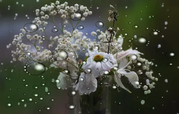 Drops, flowers, background