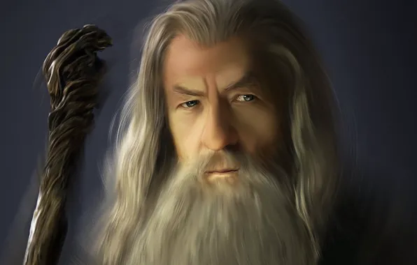 Picture grey, the Lord of the rings, art, MAG, the old man, staff, beard, Gandalf