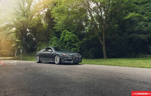 Audi, grey, vossen