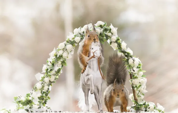 Flowers, horse, horse, toy, roses, bouquet, protein, arch