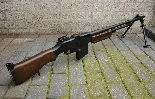 Picture weapons, rifle, automatic, Browning M1918