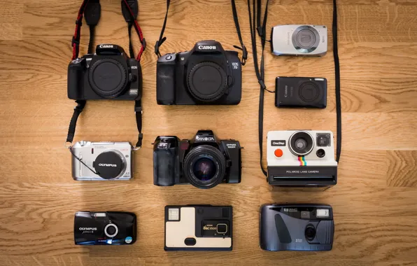 Macro, background, camera