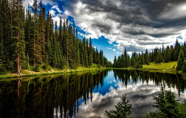 Forest, summer, water, clouds, trees, lake, reflection