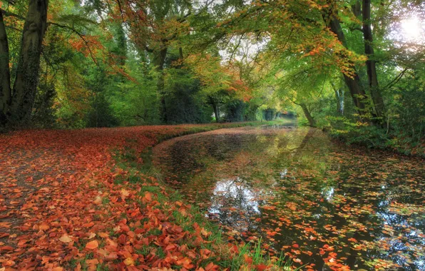 Picture autumn, Park, river