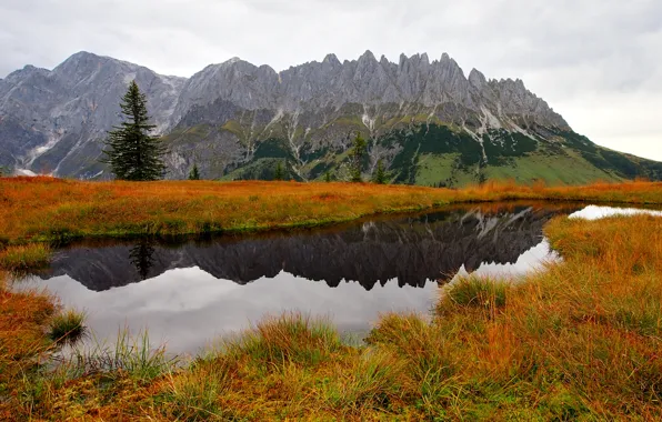 Autumn, grass, water, trees, mountains, nature, lake, spruce