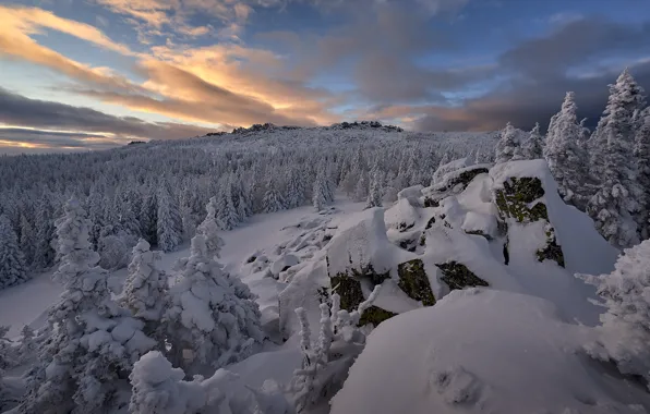 Picture winter, snow, landscape, nature, stones, forest, Coat of arms, Iremel