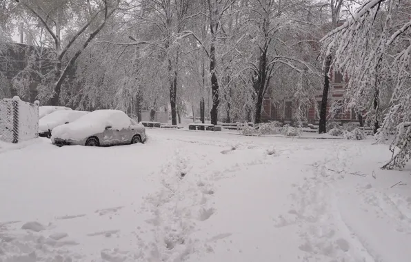 Snow, April, Dnepr