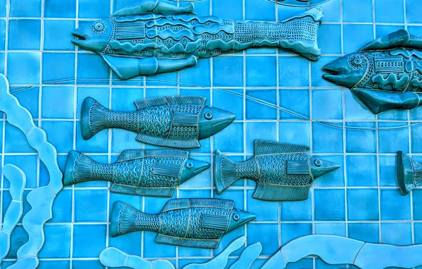 Fish, fish, wall, tile, blue color