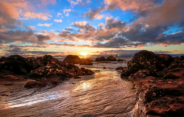 Sea, the sky, the sun, clouds, stones, dawn, shore