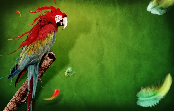 Background, paint, feathers, Parrot