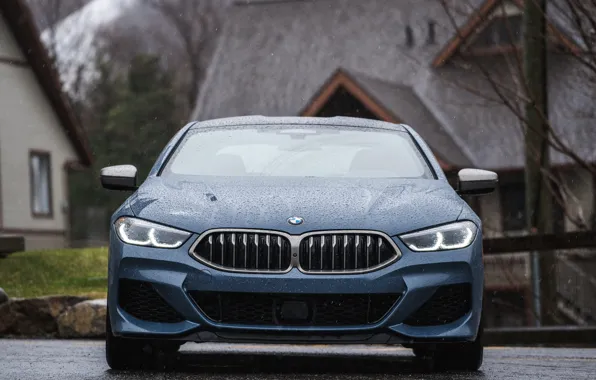 Coupe, BMW, 2018, dampness, 8-Series, 2019, pale blue, M850i xDrive