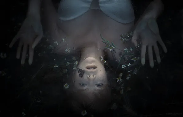 LOOK, BUTTERFLY, ICE, HANDS, FLOWERS, FACE, by Karen Abramyan