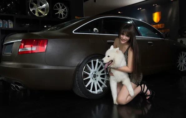 Picture auto, look, smile, Audi, dog, Girls, Asian, beautiful girl