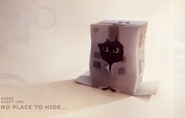 Picture kitty, box, figure, hole, hiding, apofiss, agent night owl