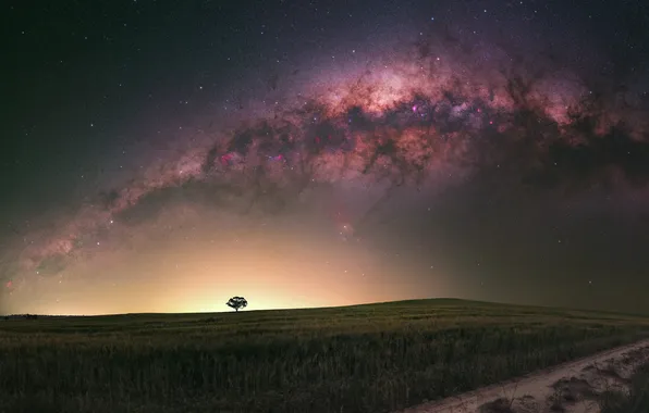 Road, field, the sky, grass, space, stars, light, night