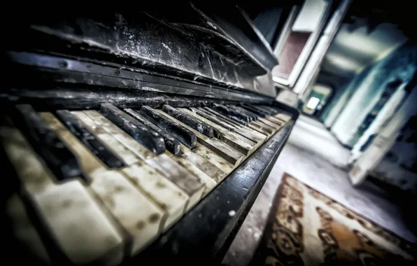 Macro, music, piano
