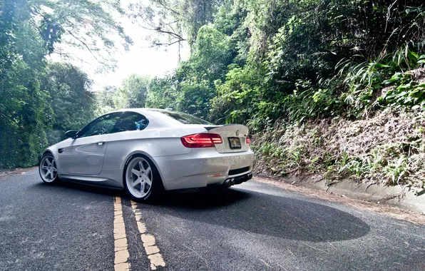 Picture road, white, markup, bmw, BMW, shadow, white, rear view