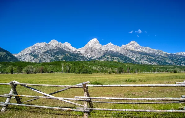 Picture field, mountains, nature, the fence, Grand Teton