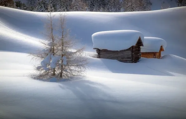 Winter, snow, landscape