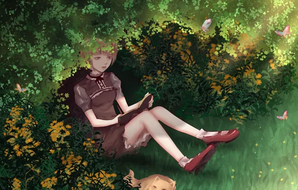 Grass, cat, girl, butterfly, Notepad, the bushes, by CZY
