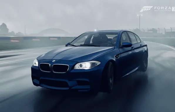 HDR, BMW, Drift, Rain, Game, F10, 5, FM7