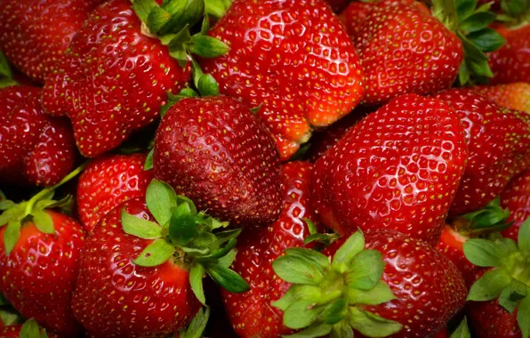 Red, berries, strawberry, closeup