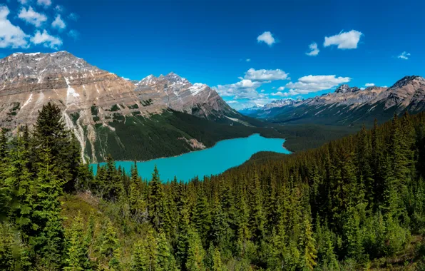 Forest, clouds, mountains, lake, blue, rocks, the slopes, view